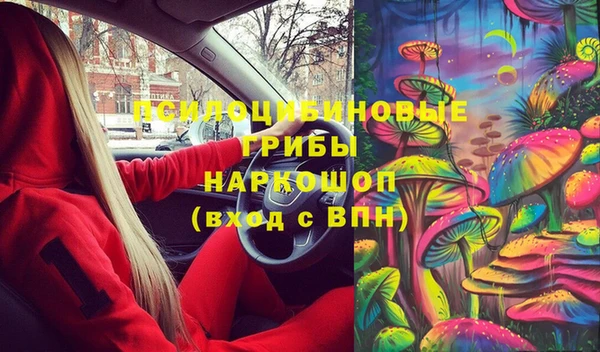spice Алексеевка