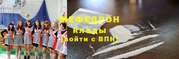 дмт Ельня