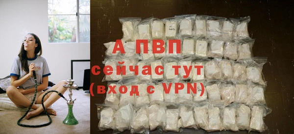 крисы Елизово