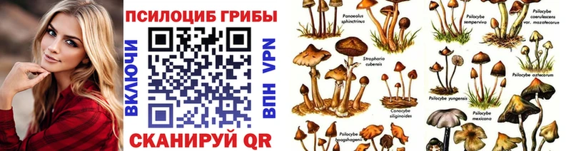ссылка на мегу ссылки Калач-на-Дону Галлюциногенные грибы MAGIC MUSHROOMS