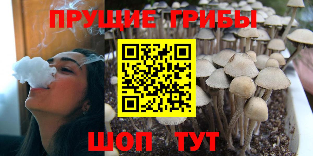 Псилоцибиновые грибы Psilocybine cubensis  Вход с VPN  Калач-на-Дону 